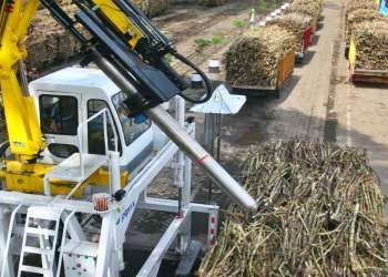 Sambut Musim Giling, PTPN XI Tingkatkan Kinerja